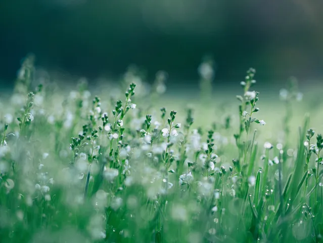 Tải Xuống Bộ Sưu Tập Hình Ảnh Mát Mẻ (ảnh Chill, Hình Nền) Chất Lượng Cao Miễn Phí Cho Điện Thoại Tải Xuống Bộ Sưu Tập Hình Ảnh Mát Mẻ (ảnh Chill, Hình Nền) Chất Lượng Cao Miễn Phí Cho Điện Thoại