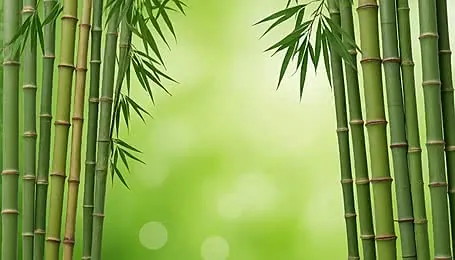 Tải Xuống Bộ Sưu Tập Hình Ảnh Mát Mẻ (ảnh Chill, Hình Nền) Chất Lượng Cao Miễn Phí Cho Điện Thoại Tải Xuống Bộ Sưu Tập Hình Ảnh Mát Mẻ (ảnh Chill, Hình Nền) Chất Lượng Cao Miễn Phí Cho Điện Thoại