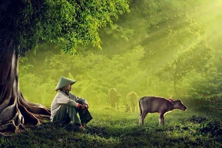 Phân Tích Hình Ảnh Mẹ Quê (hình Tượng) Trong Bài Thơ "mẹ Quê" Của Nguyễn Minh Quang Dành Cho Học Sinh Phân Tích Hình Ảnh Mẹ Quê (hình Tượng) Trong Bài Thơ "mẹ Quê" Của Nguyễn Minh Quang Dành Cho Học Sinh
