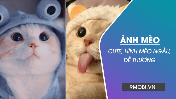 Khám Phá Hình Ảnh Mèo Channel Cho Fan Hâm Mộ Và Ảnh Fanart Minecraft