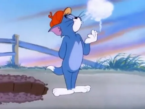 Tổng Hợp Hình Ảnh Mèo Tom Meme Hài Hước, Biểu Cảm Đa Dạng Cho Cộng Đồng Mạng