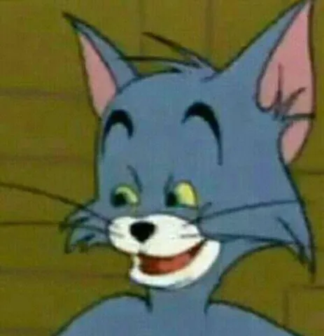 Tổng Hợp Hình Ảnh Mèo Tom Meme Hài Hước, Biểu Cảm Đa Dạng Cho Cộng Đồng Mạng