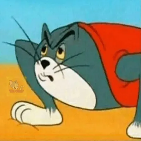 Tổng Hợp Hình Ảnh Mèo Tom Meme Hài Hước, Biểu Cảm Đa Dạng Cho Cộng Đồng Mạng