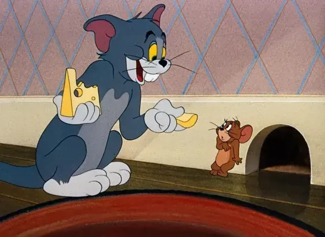 Tổng Hợp Hình Ảnh Mèo Tom Meme Hài Hước, Biểu Cảm Đa Dạng Cho Cộng Đồng Mạng