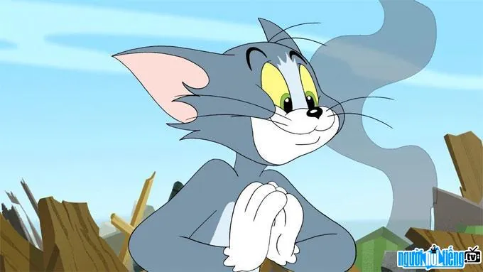 Tổng Hợp Hình Ảnh Mèo Tom Meme Hài Hước, Biểu Cảm Đa Dạng Cho Cộng Đồng Mạng
