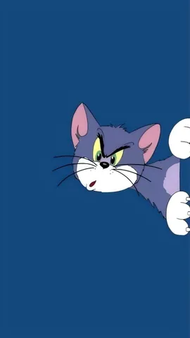 Tổng Hợp Hình Ảnh Mèo Tom Meme Hài Hước, Biểu Cảm Đa Dạng Cho Cộng Đồng Mạng