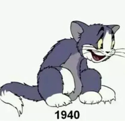 Tổng Hợp Hình Ảnh Mèo Tom Meme Hài Hước, Biểu Cảm Đa Dạng Cho Cộng Đồng Mạng