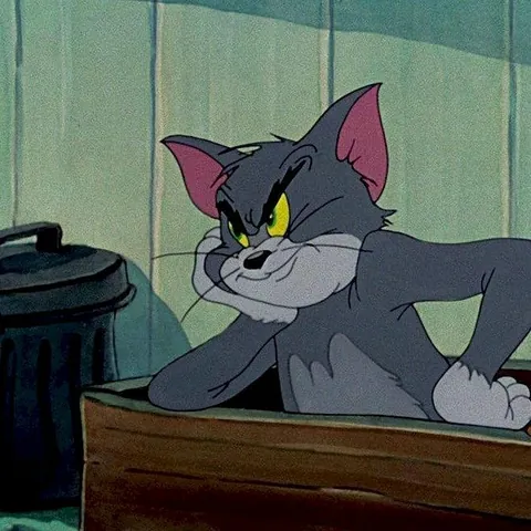 Tổng Hợp Hình Ảnh Mèo Tom Meme Hài Hước, Biểu Cảm Đa Dạng Cho Cộng Đồng Mạng