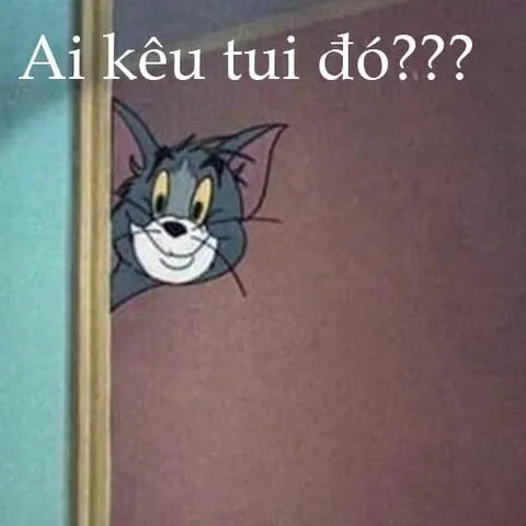Tổng Hợp Hình Ảnh Mèo Tom Meme Hài Hước, Biểu Cảm Đa Dạng Cho Cộng Đồng Mạng