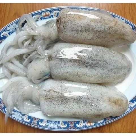 Xem Hình Ảnh Mực Lá Nhận Diện Đặc Điểm Phân Biệt Với Mực Ống Cho Người Mua Hải Sản Xem Hình Ảnh Mực Lá Nhận Diện Đặc Điểm Phân Biệt Với Mực Ống Cho Người Mua Hải Sản