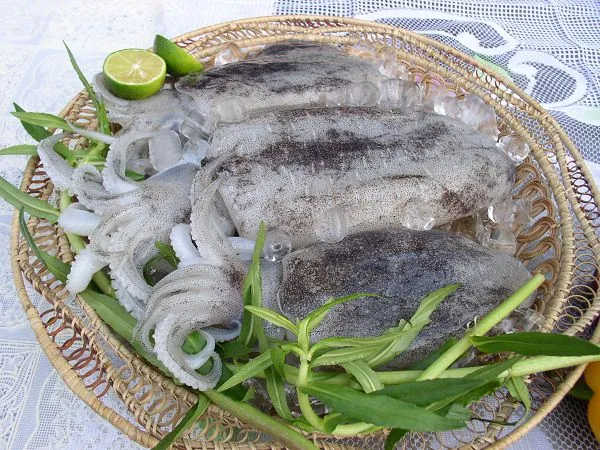 Xem Hình Ảnh Mực Lá Nhận Diện Đặc Điểm Phân Biệt Với Mực Ống Cho Người Mua Hải Sản Xem Hình Ảnh Mực Lá Nhận Diện Đặc Điểm Phân Biệt Với Mực Ống Cho Người Mua Hải Sản