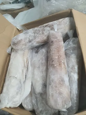 Xem Hình Ảnh Mực Lá Nhận Diện Đặc Điểm Phân Biệt Với Mực Ống Cho Người Mua Hải Sản Xem Hình Ảnh Mực Lá Nhận Diện Đặc Điểm Phân Biệt Với Mực Ống Cho Người Mua Hải Sản