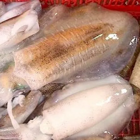 Xem Hình Ảnh Mực Lá Nhận Diện Đặc Điểm Phân Biệt Với Mực Ống Cho Người Mua Hải Sản Xem Hình Ảnh Mực Lá Nhận Diện Đặc Điểm Phân Biệt Với Mực Ống Cho Người Mua Hải Sản