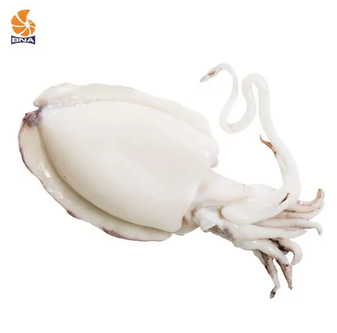 Xem Hình Ảnh Mực Lá Nhận Diện Đặc Điểm Phân Biệt Với Mực Ống Cho Người Mua Hải Sản Xem Hình Ảnh Mực Lá Nhận Diện Đặc Điểm Phân Biệt Với Mực Ống Cho Người Mua Hải Sản