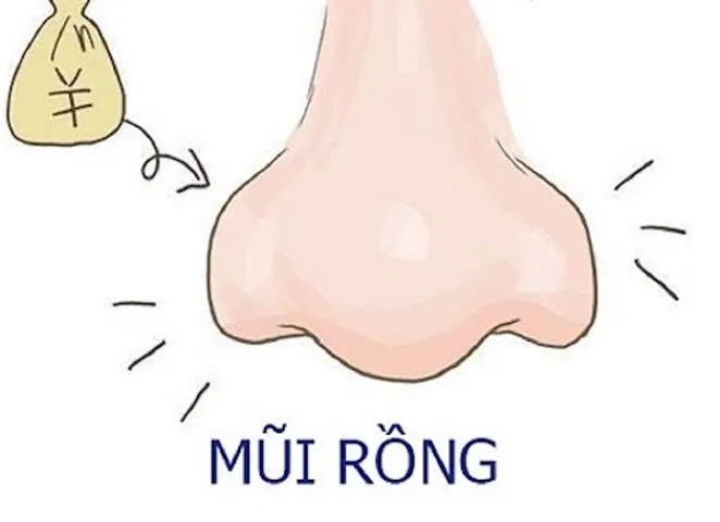Xem Hình Ảnh Mũi Rồng: Đặc Điểm Và Ý Nghĩa Tướng Số Cho Nam Giới So Với Các Dáng Mũi Phong Thủy