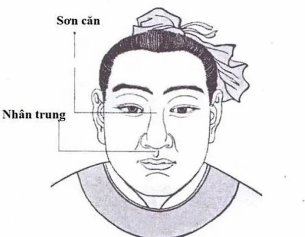 Xem Hình Ảnh Mũi Rồng: Đặc Điểm Và Ý Nghĩa Tướng Số Cho Nam Giới So Với Các Dáng Mũi Phong Thủy