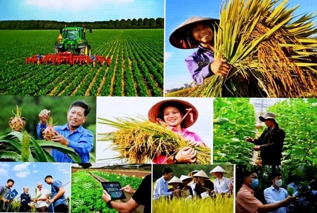 Hình Ảnh Người Nông Dân Trong Văn Học Việt Nam: Phân Tích Đa Chiều Dành Cho Sinh Viên Ngành Văn Học & Giáo Viên
