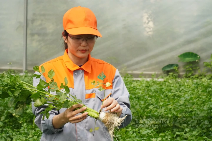 Hình Ảnh Người Nông Dân Trong Văn Học Việt Nam: Phân Tích Đa Chiều Dành Cho Sinh Viên Ngành Văn Học & Giáo Viên