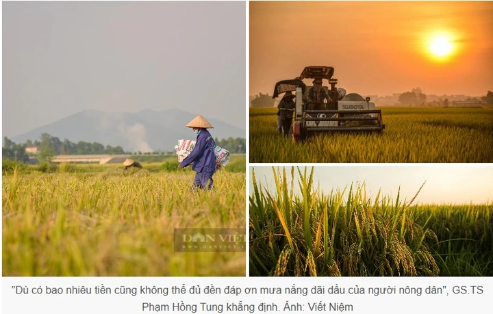 Hình Ảnh Người Nông Dân Trong Văn Học Việt Nam: Phân Tích Đa Chiều Dành Cho Sinh Viên Ngành Văn Học & Giáo Viên