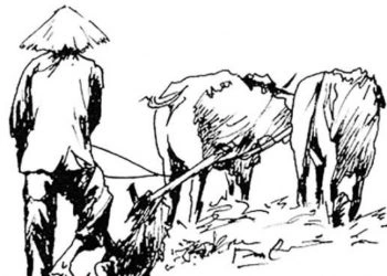 Hình Ảnh Người Nông Dân Trong Văn Học Việt Nam: Phân Tích Đa Chiều Dành Cho Sinh Viên Ngành Văn Học & Giáo Viên