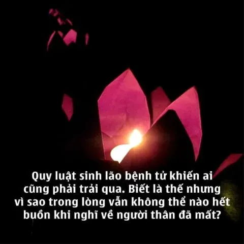 Tổng Hợp Những Status, Tâm Sự Và Thư Tình Nhớ Chồng Từ Hình Ảnh Nhớ Chồng Dành Cho Vợ Yêu Tổng Hợp Những Status, Tâm Sự Và Thư Tình Nhớ Chồng Từ Hình Ảnh Nhớ Chồng Dành Cho Vợ Yêu