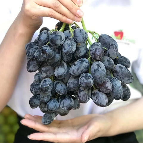 Tải Về & Tải Lên “hình Ảnh Nhớ” – Bộ Sưu Tập Đẹp Nhất Dành Cho Người Yêu & Người Thân Tải Về & Tải Lên “hình Ảnh Nhớ” – Bộ Sưu Tập Đẹp Nhất Dành Cho Người Yêu & Người Thân