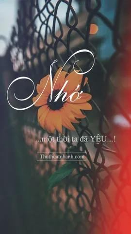 Tổng Hợp Bộ Sưu Tập Hình Ảnh Nhớ Ny Buồn Da Diết Và Cute Cho Người Yêu Xa