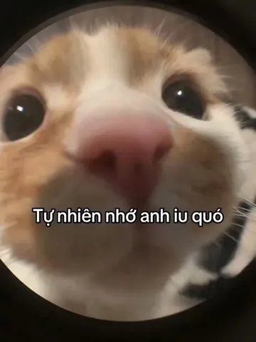 Tổng Hợp Bộ Sưu Tập Hình Ảnh Nhớ Ny Buồn Da Diết Và Cute Cho Người Yêu Xa