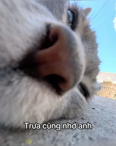 Tổng Hợp Bộ Sưu Tập Hình Ảnh Nhớ Ny Buồn Da Diết Và Cute Cho Người Yêu Xa