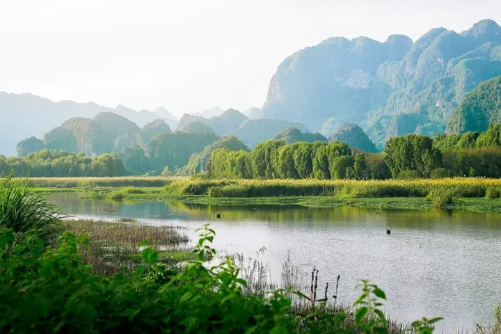 Phân Tích Hình Ảnh Nịnh Bợ Và Xu Nịnh Điển Hình Cho Người Đi Làm Phân Tích Hình Ảnh Nịnh Bợ Và Xu Nịnh Điển Hình Cho Người Đi Làm