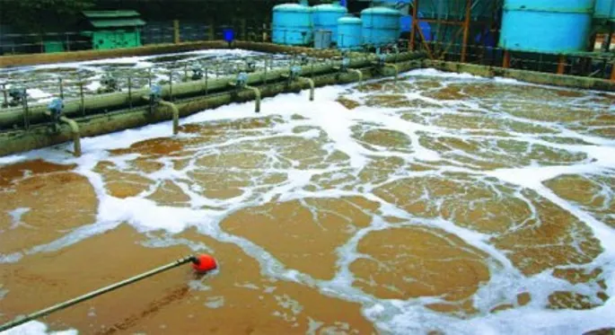 Tổng Hợp Hình Ảnh Trực Quan Nước Thải Và Ô Nhiễm Nguồn Nước Cho Doanh Nghiệp Môi Trường