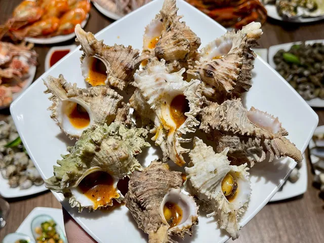 Tải Xuống Và Chiêm Ngưỡng Hình Ảnh Ốc Biển Đẹp Cho Người Yêu Thiên Nhiên Tải Xuống Và Chiêm Ngưỡng Hình Ảnh Ốc Biển Đẹp Cho Người Yêu Thiên Nhiên