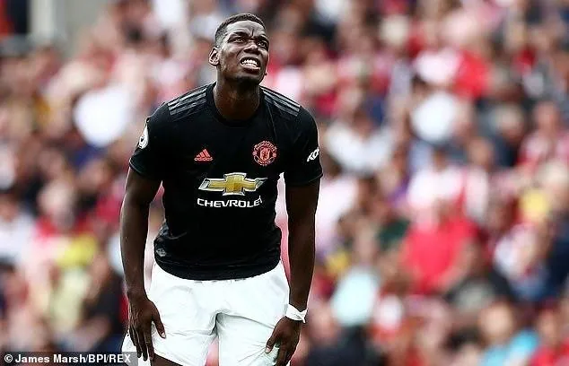 Tổng Hợp Hình Ảnh Paul Pogba Ấn Tượng Cho Người Hâm Mộ Cùng Những Khoảnh Khắc Thi Đấu Đáng Nhớ Tổng Hợp Hình Ảnh Paul Pogba Ấn Tượng Cho Người Hâm Mộ Cùng Những Khoảnh Khắc Thi Đấu Đáng Nhớ