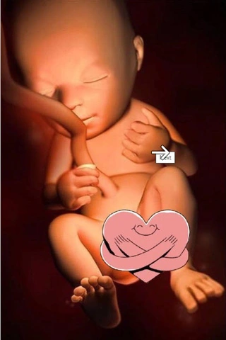 Hình Ảnh Phát Triển Của Thai Nhi Theo Từng Tuần: Hướng Dẫn Chi Tiết Dành Cho Các Bố Mẹ Sắp Đón Bé