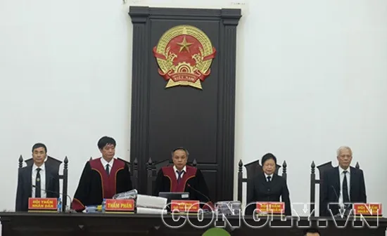 Tổng Hợp Hình Ảnh Phiên Tòa Thực Tế: Xem Ảnh Bên Trong Và Cổng Tòa Cho Độc Giả