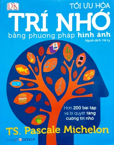 Tổng Hợp Các Phương Pháp Chẩn Đoán Hình Ảnh Phổ Biến Dành Cho Bạn Bao Gồm X-quang, Ct Và Mri