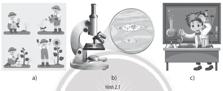 Tổng Hợp Các Phương Pháp Chẩn Đoán Hình Ảnh Phổ Biến Dành Cho Bạn Bao Gồm X-quang, Ct Và Mri