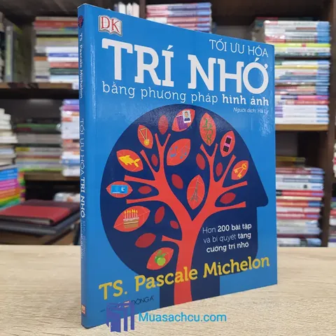Tổng Hợp Các Phương Pháp Chẩn Đoán Hình Ảnh Phổ Biến Dành Cho Bạn Bao Gồm X-quang, Ct Và Mri