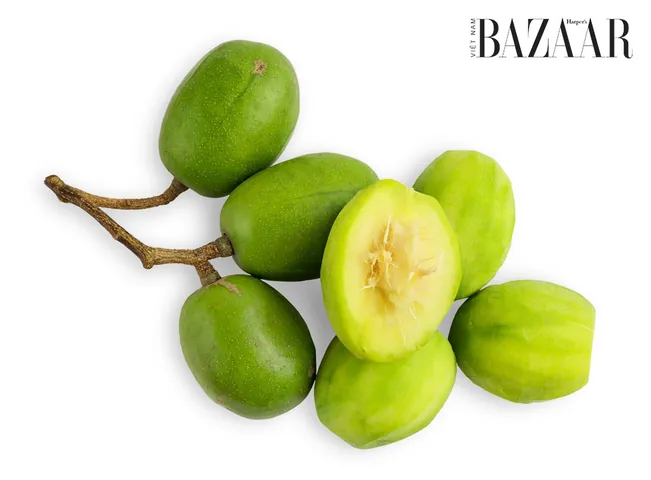 Khám Phá Hình Ảnh Quả Cóc Và Các Loại (hyponym) Quả Cóc Đặc Trưng Cho Độc Giả Khám Phá Hình Ảnh Quả Cóc Và Các Loại (hyponym) Quả Cóc Đặc Trưng Cho Độc Giả