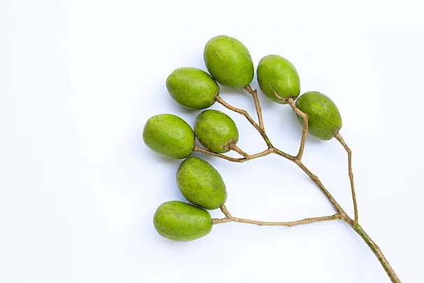 Khám Phá Hình Ảnh Quả Cóc Và Các Loại (hyponym) Quả Cóc Đặc Trưng Cho Độc Giả Khám Phá Hình Ảnh Quả Cóc Và Các Loại (hyponym) Quả Cóc Đặc Trưng Cho Độc Giả