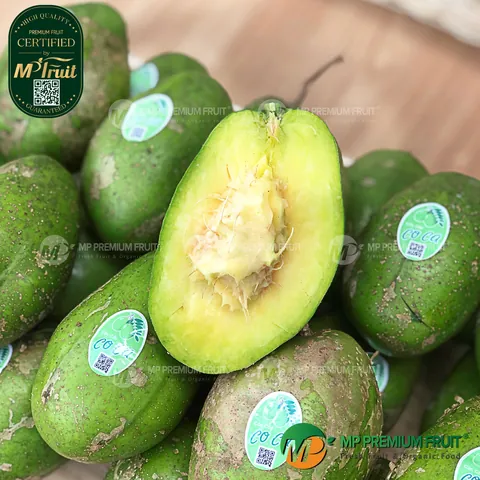 Khám Phá Hình Ảnh Quả Cóc Và Các Loại (hyponym) Quả Cóc Đặc Trưng Cho Độc Giả Khám Phá Hình Ảnh Quả Cóc Và Các Loại (hyponym) Quả Cóc Đặc Trưng Cho Độc Giả