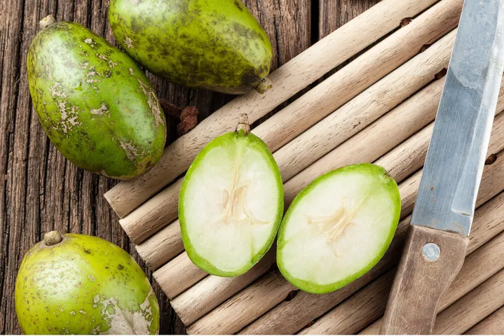 Khám Phá Hình Ảnh Quả Cóc Và Các Loại (hyponym) Quả Cóc Đặc Trưng Cho Độc Giả Khám Phá Hình Ảnh Quả Cóc Và Các Loại (hyponym) Quả Cóc Đặc Trưng Cho Độc Giả