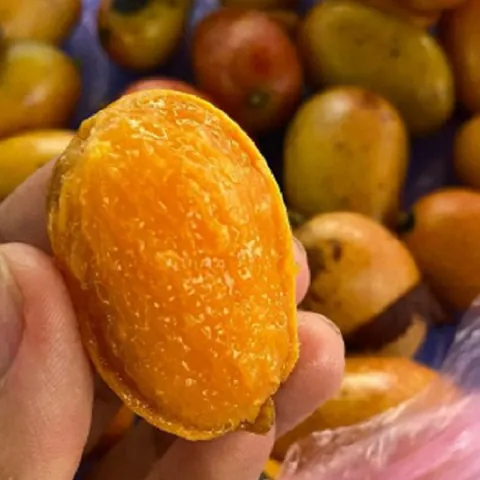 Nhận Diện Hình Ảnh Quả Quéo (quả Muỗm) Cho Người Yêu Trái Cây: Phân Biệt Với Xoài Và Thanh Trà Nhận Diện Hình Ảnh Quả Quéo (quả Muỗm) Cho Người Yêu Trái Cây: Phân Biệt Với Xoài Và Thanh Trà