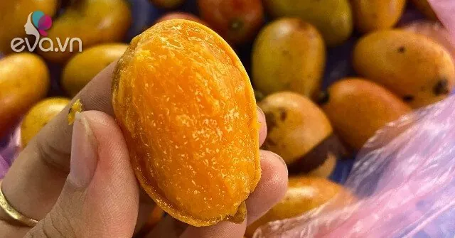 Nhận Diện Hình Ảnh Quả Quéo (quả Muỗm) Cho Người Yêu Trái Cây: Phân Biệt Với Xoài Và Thanh Trà Nhận Diện Hình Ảnh Quả Quéo (quả Muỗm) Cho Người Yêu Trái Cây: Phân Biệt Với Xoài Và Thanh Trà