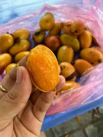Nhận Diện Hình Ảnh Quả Quéo (quả Muỗm) Cho Người Yêu Trái Cây: Phân Biệt Với Xoài Và Thanh Trà Nhận Diện Hình Ảnh Quả Quéo (quả Muỗm) Cho Người Yêu Trái Cây: Phân Biệt Với Xoài Và Thanh Trà