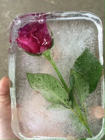 Tổng Hợp Hình Ảnh Quà Valentine Đẹp, Ngọt Ngào Cho Người Yêu Kèm Hình Ảnh Hộp Quà, Gối Ôm