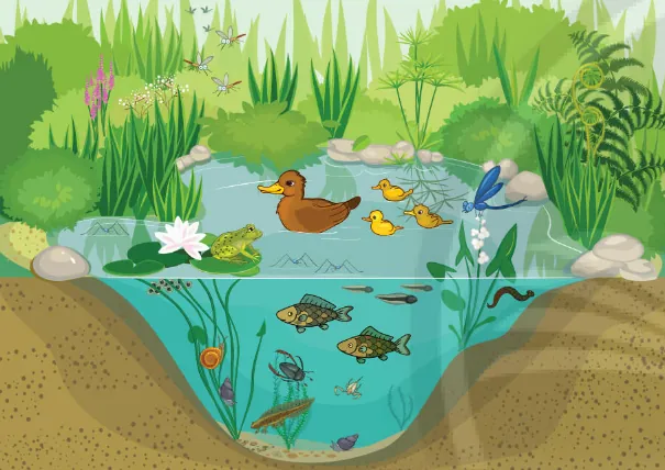 Khám Phá Hình Ảnh Quần Xã Sinh Vật Và Các Thành Phần Cấu Trúc Dành Cho Học Sinh Khám Phá Hình Ảnh Quần Xã Sinh Vật Và Các Thành Phần Cấu Trúc Dành Cho Học Sinh
