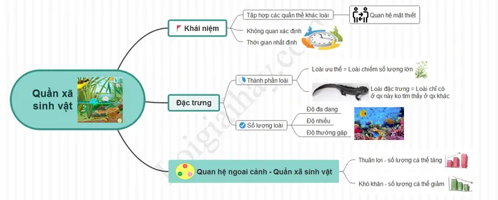 Khám Phá Hình Ảnh Quần Xã Sinh Vật Và Các Thành Phần Cấu Trúc Dành Cho Học Sinh Khám Phá Hình Ảnh Quần Xã Sinh Vật Và Các Thành Phần Cấu Trúc Dành Cho Học Sinh