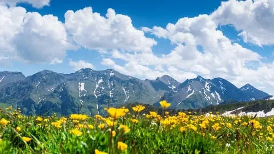 Tải Bộ Sưu Tập Hình Ảnh Quang Cảnh Đẹp Miễn Phí Cho Điện Thoại Và Máy Tính (thiên Nhiên, 4k) Tải Bộ Sưu Tập Hình Ảnh Quang Cảnh Đẹp Miễn Phí Cho Điện Thoại Và Máy Tính (thiên Nhiên, 4k)