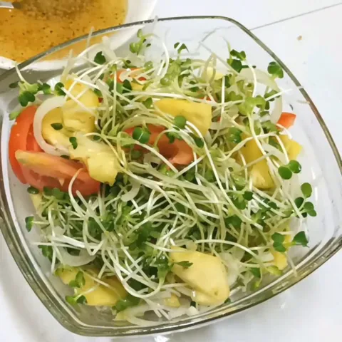 Khám Phá Hình Ảnh Rau Mầm Và Các Loại Phổ Biến Cho Người Yêu Thực Phẩm Sạch Khám Phá Hình Ảnh Rau Mầm Và Các Loại Phổ Biến Cho Người Yêu Thực Phẩm Sạch